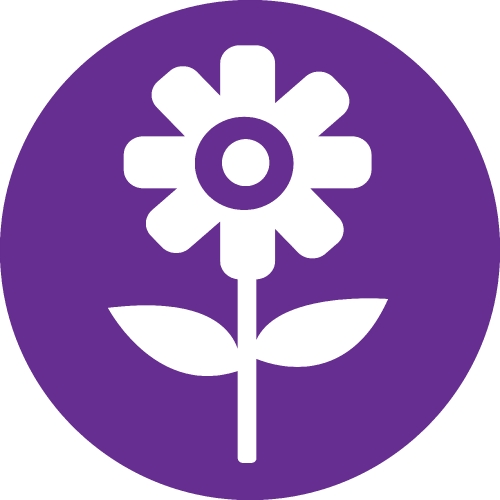 Flower icon sign symbol design