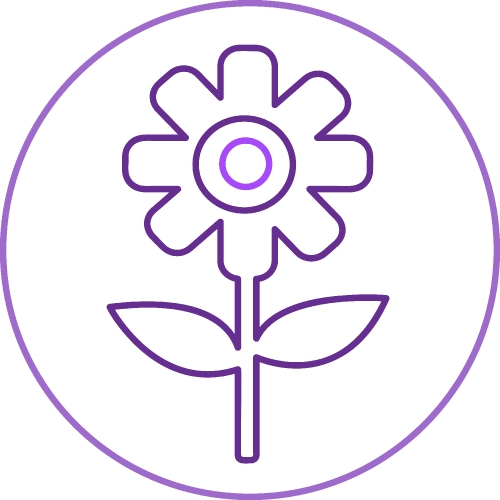 Flower icon sign symbol design