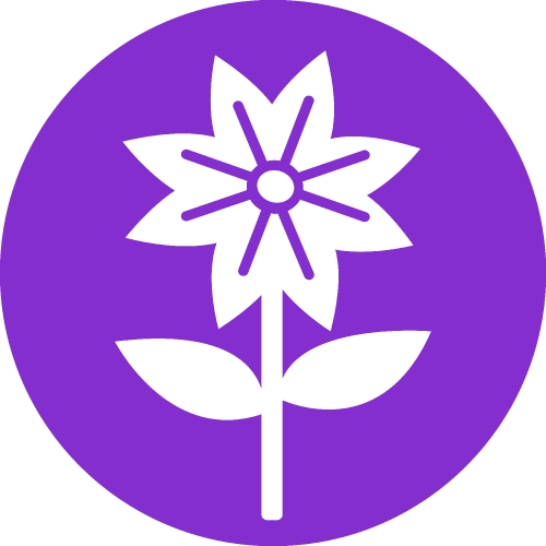 Flower icon sign symbol design