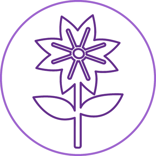 Flower icon sign symbol design