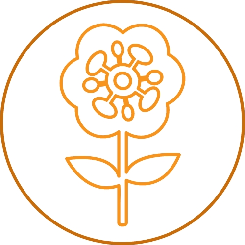 Flower icon sign symbol design