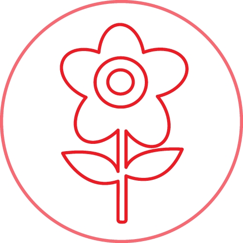 Flower Icon Sign Symbol Design