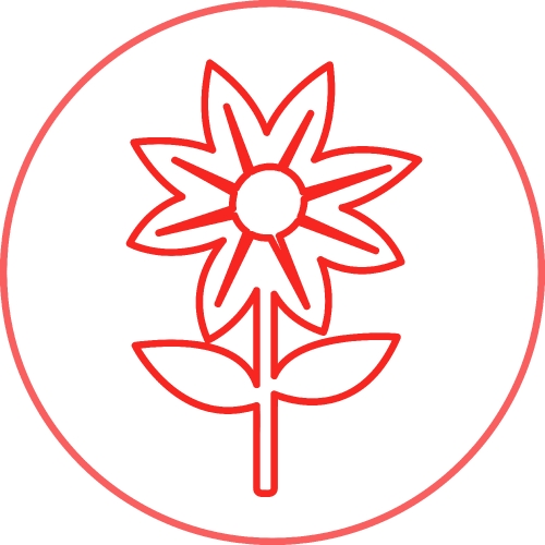 Flower Icon Sign Symbol Design