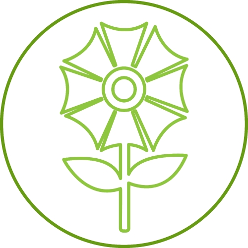 Flower Icon Sign Symbol Design