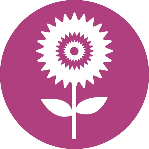 Flower Icon Sign Symbol Design