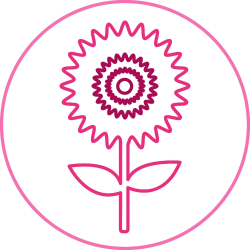 Flower Icon Sign Symbol Design