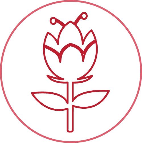 Flower Icon Sign Symbol Design