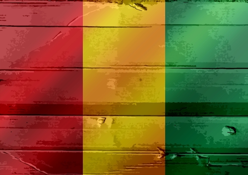 Guinea flag themes idea design