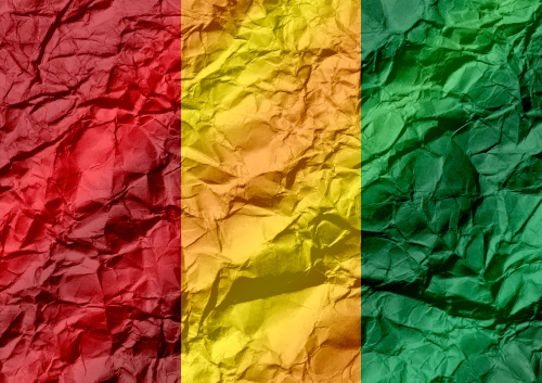 Guinea flag themes idea design