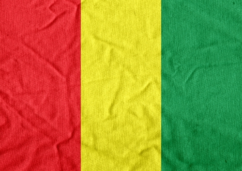 Guinea flag themes idea design