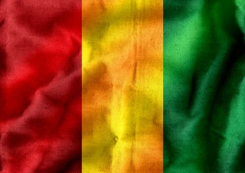 Guinea flag themes idea design