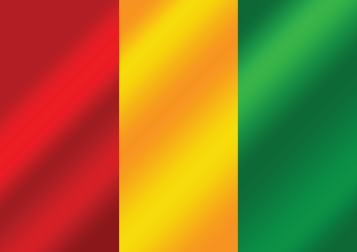 Guinea flag themes idea design