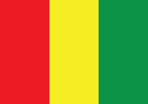 Guinea flag themes idea design