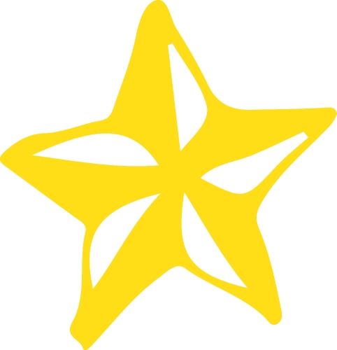 Hand Drawn Star icon sign symbol design