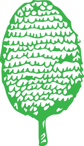 Hand drawn tree icon with leaf sign design