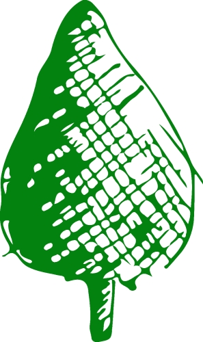 Hand drawn tree icon with leaf sign design