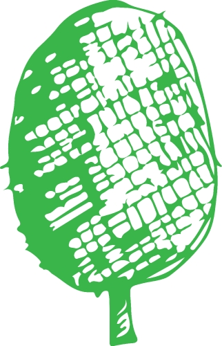 Hand drawn tree icon with leaf sign design