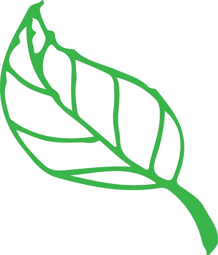 Hand drawn tree icon with leaf sign design