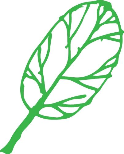 Hand drawn tree icon with leaf sign design