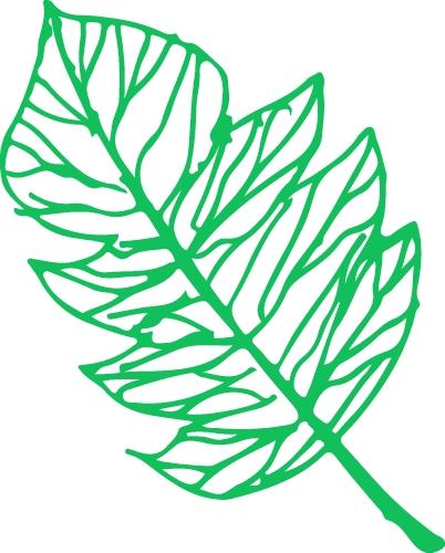 Hand drawn tree icon with leaf sign design