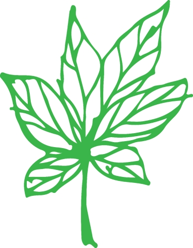 Hand drawn tree icon with leaf sign design