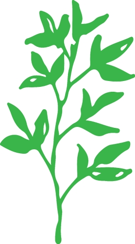 Hand drawn tree icon with leaf sign design