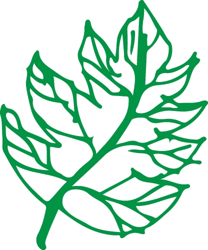 Hand drawn tree icon with leaf sign design