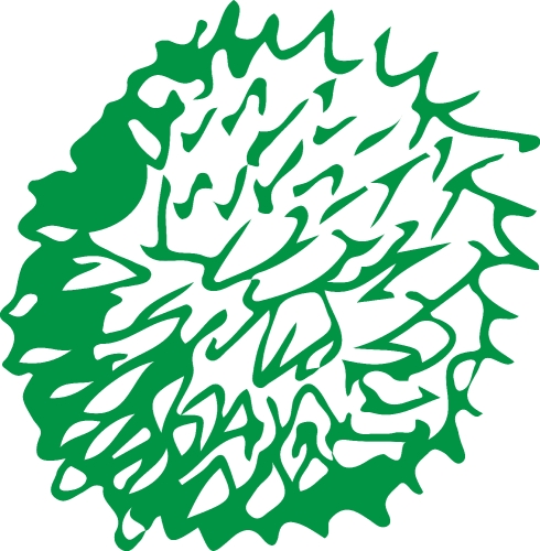 Hand drawn tree icon with leaf sign design