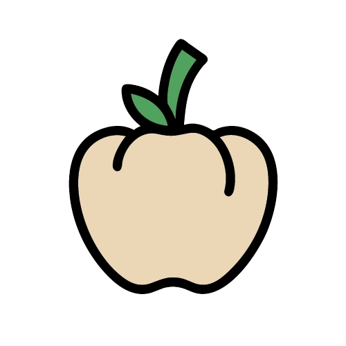 Healthy food icon