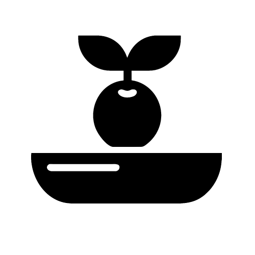 Healthy food icon