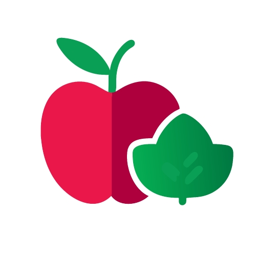 Healthy food icon