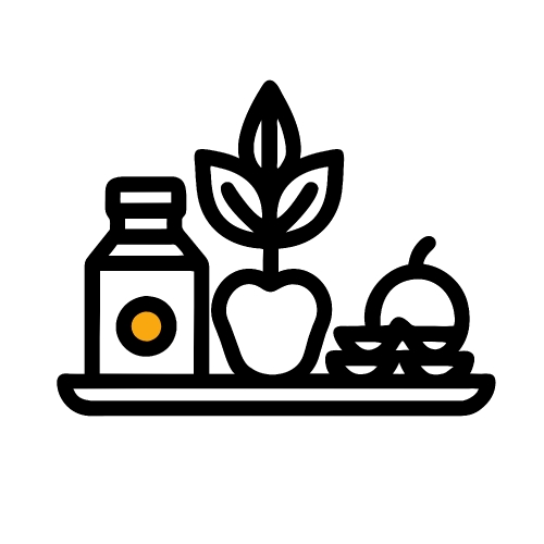 Healthy food icon