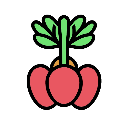 Healthy food icon