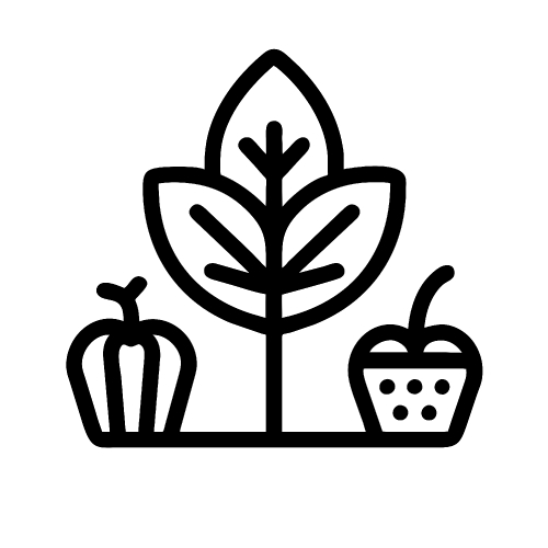 Healthy food icon