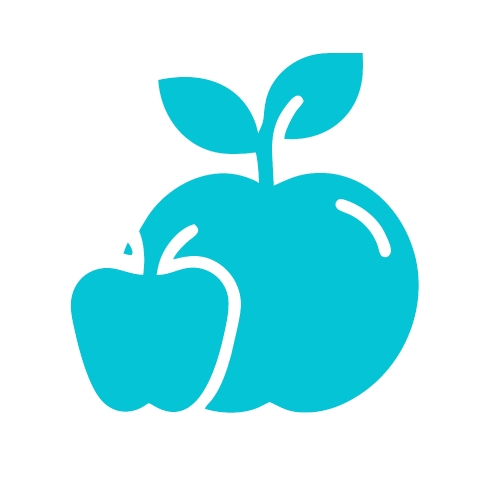 Healthy food icon