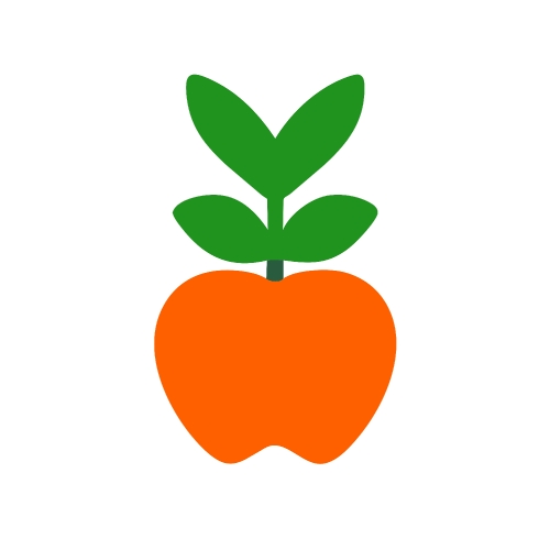 Healthy food icon