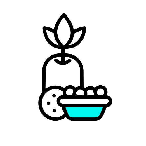 Healthy food icon