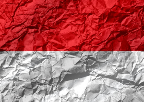 Indonesia Flag vector Illustration