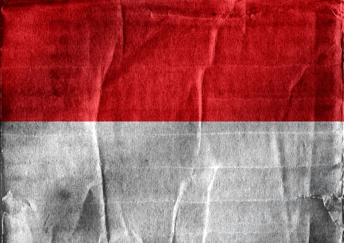 Indonesia Flag vector Illustration