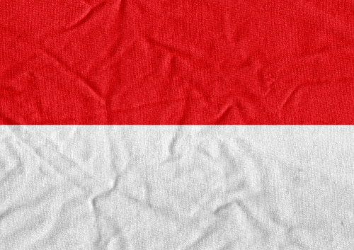 Indonesia Flag vector Illustration