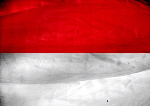 Indonesia Flag vector Illustration