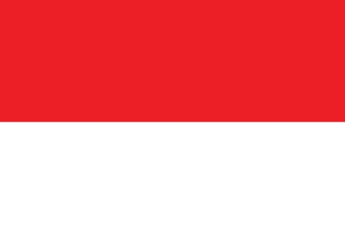 Indonesia Flag vector Illustration