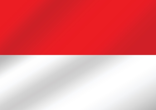 Indonesia Flag vector Illustration