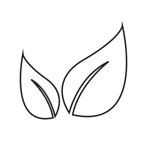 Leaf icon