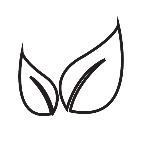 Leaf icon