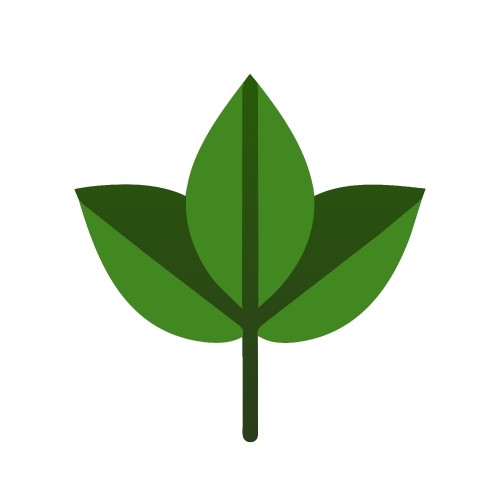 Leaf icon