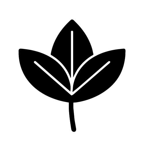 Leaf icon