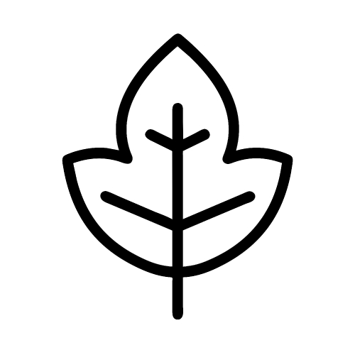 Leaf icon