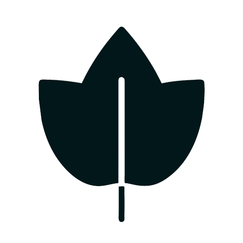 Leaf icon