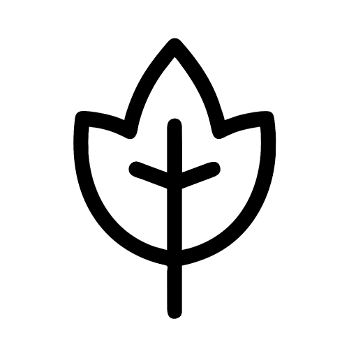 Leaf icon